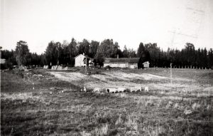 Kivikkolan tila 60-luvun alussa
